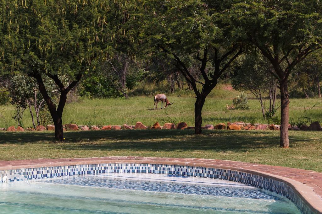 Birdsong Cottages Modimolle Kültér fotó